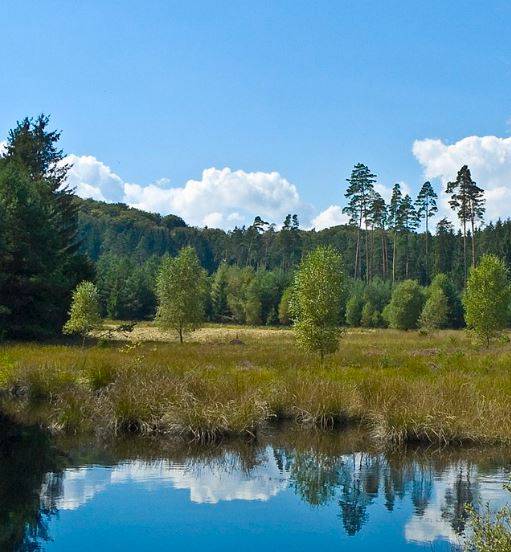 Natura 2000