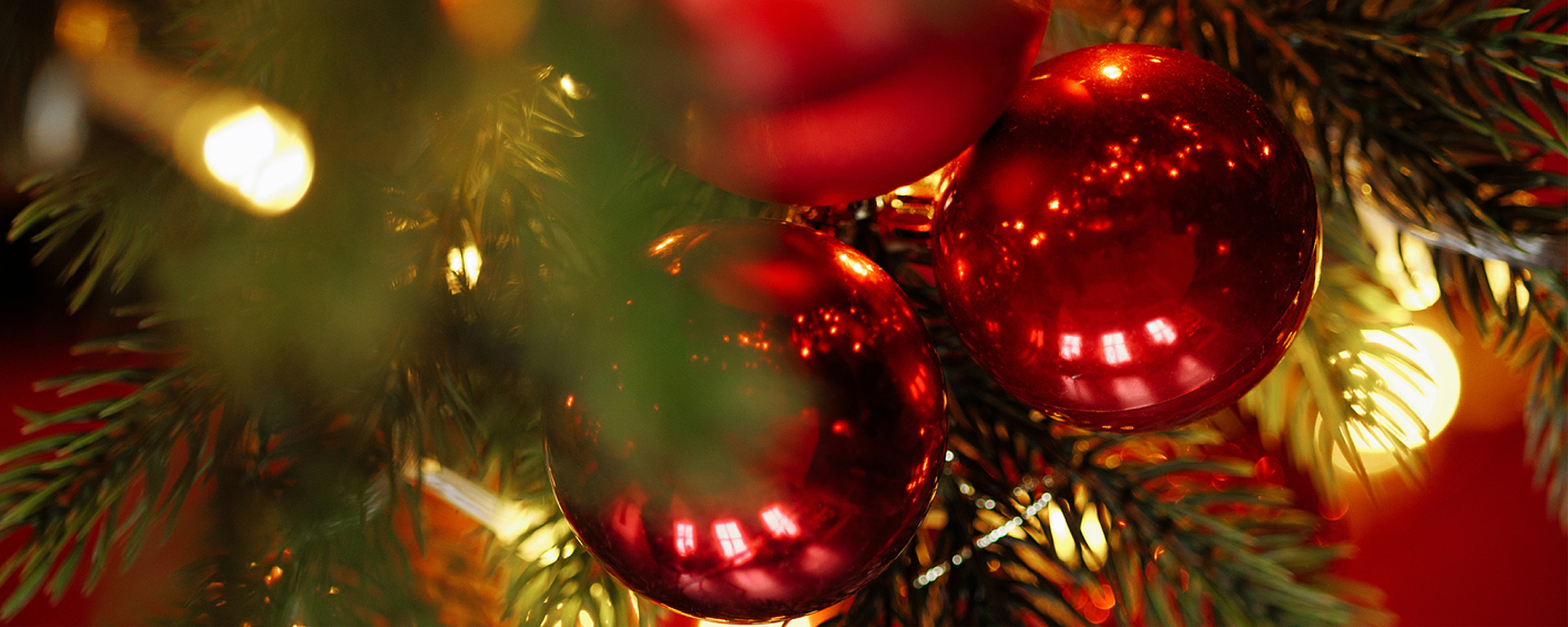 Skjerns største julefrokost